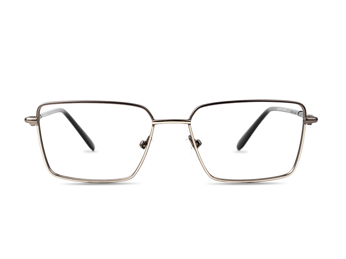 Optical MV2-4