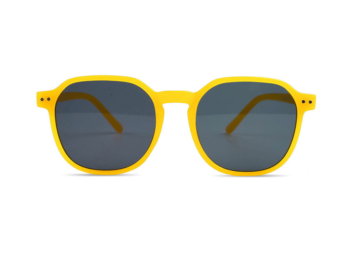 Sunglasses SG3528