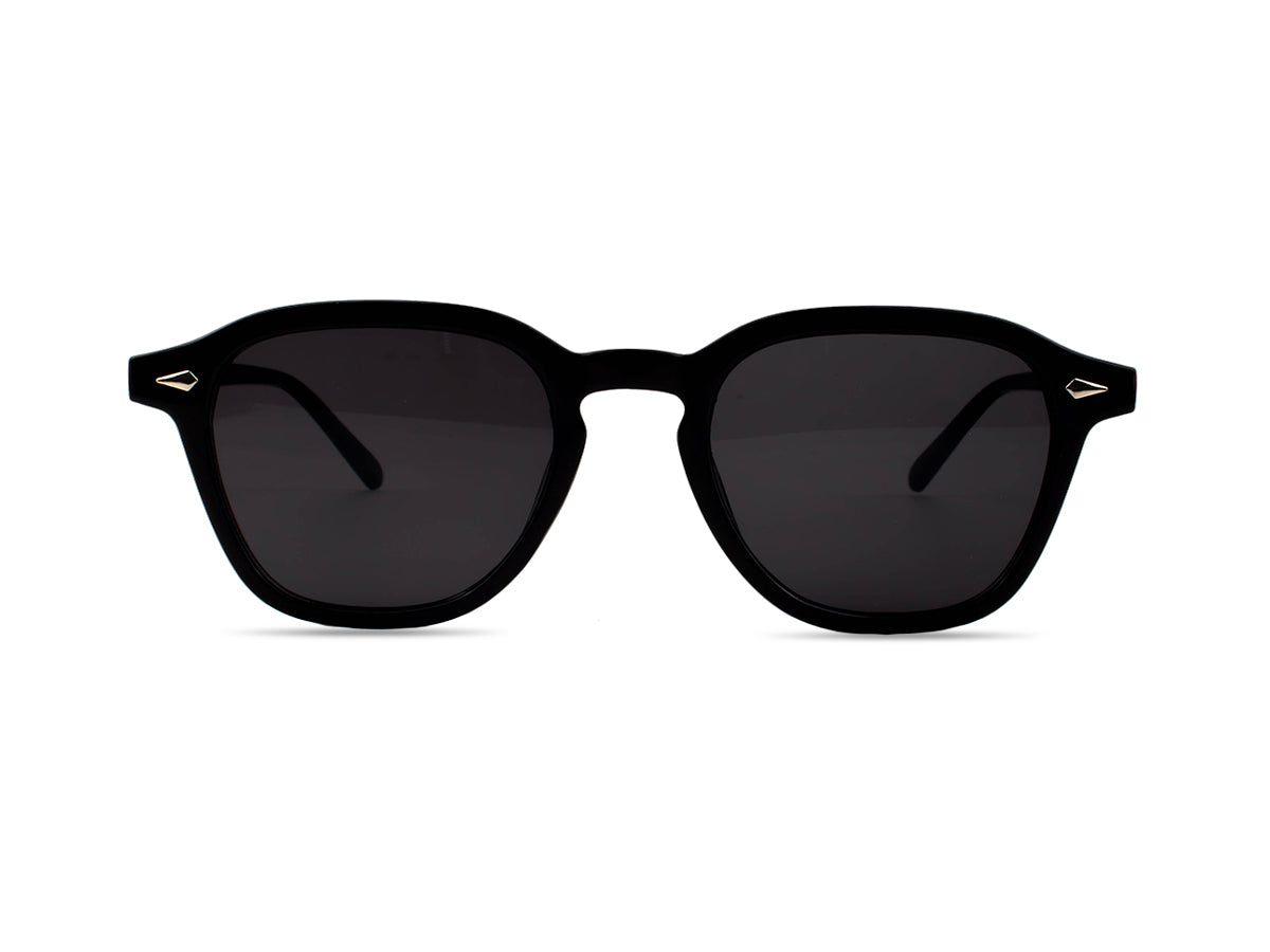 Sunglasses SG3542