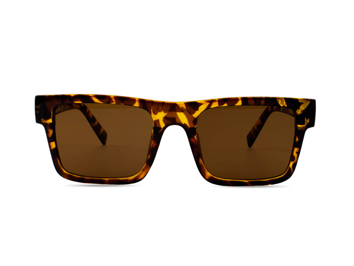 Sunglasses SG3557