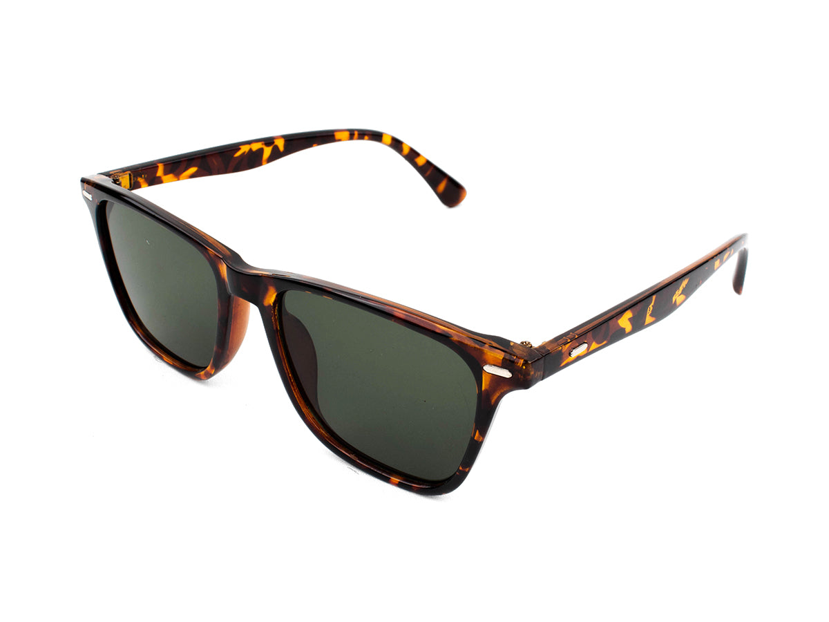 Sunglasses SG3614