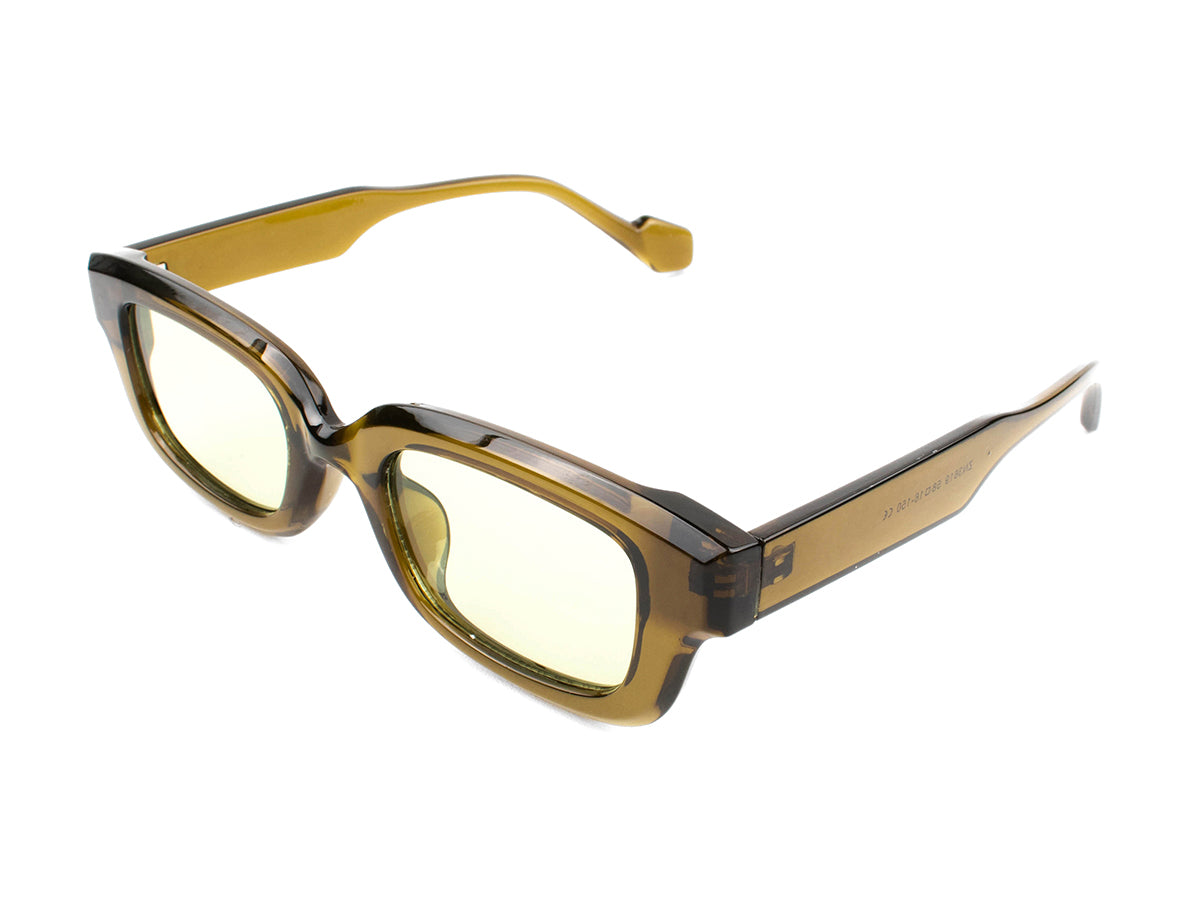 Sunglasses SG3619