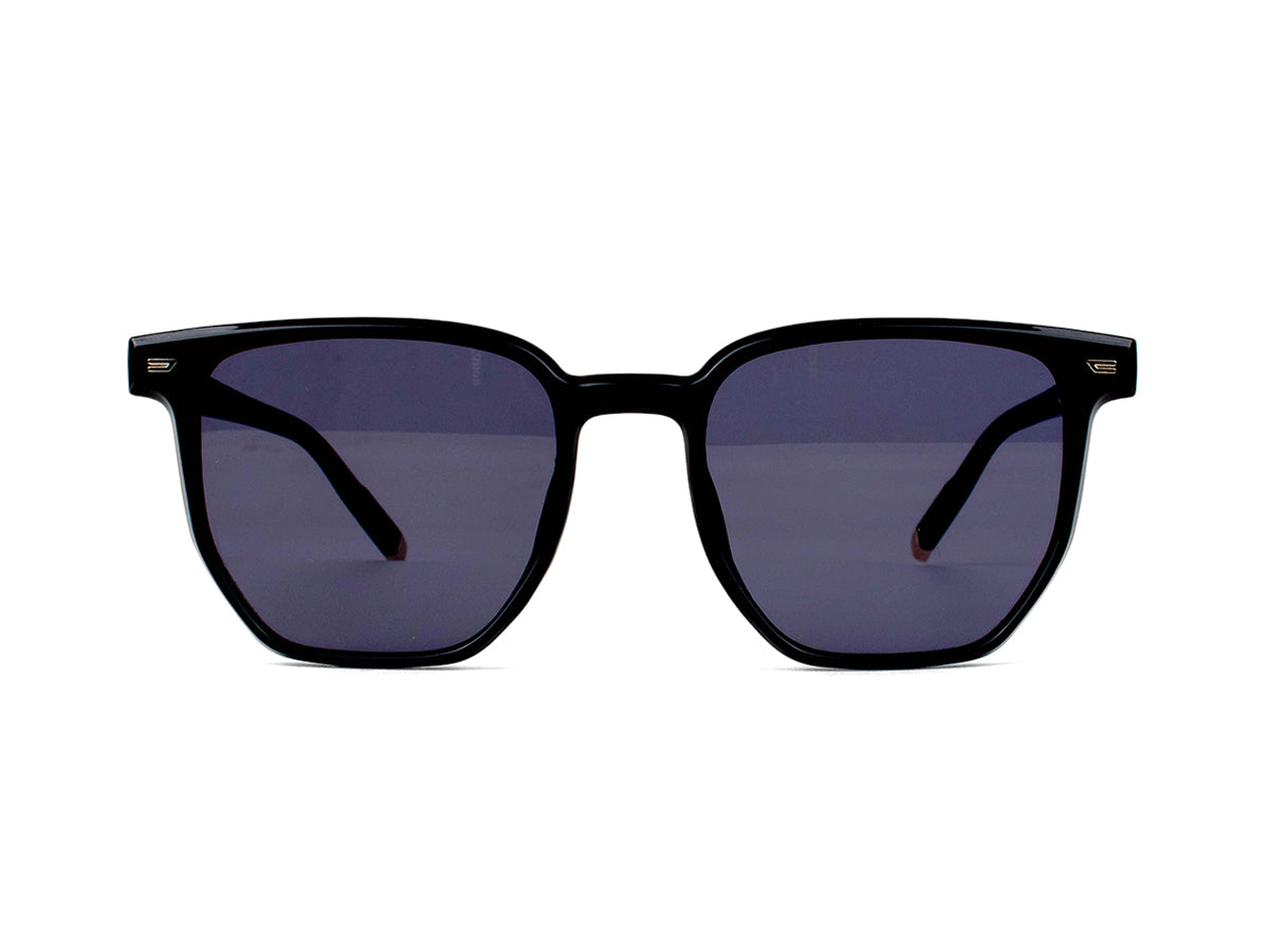 Sunglasses SG3678