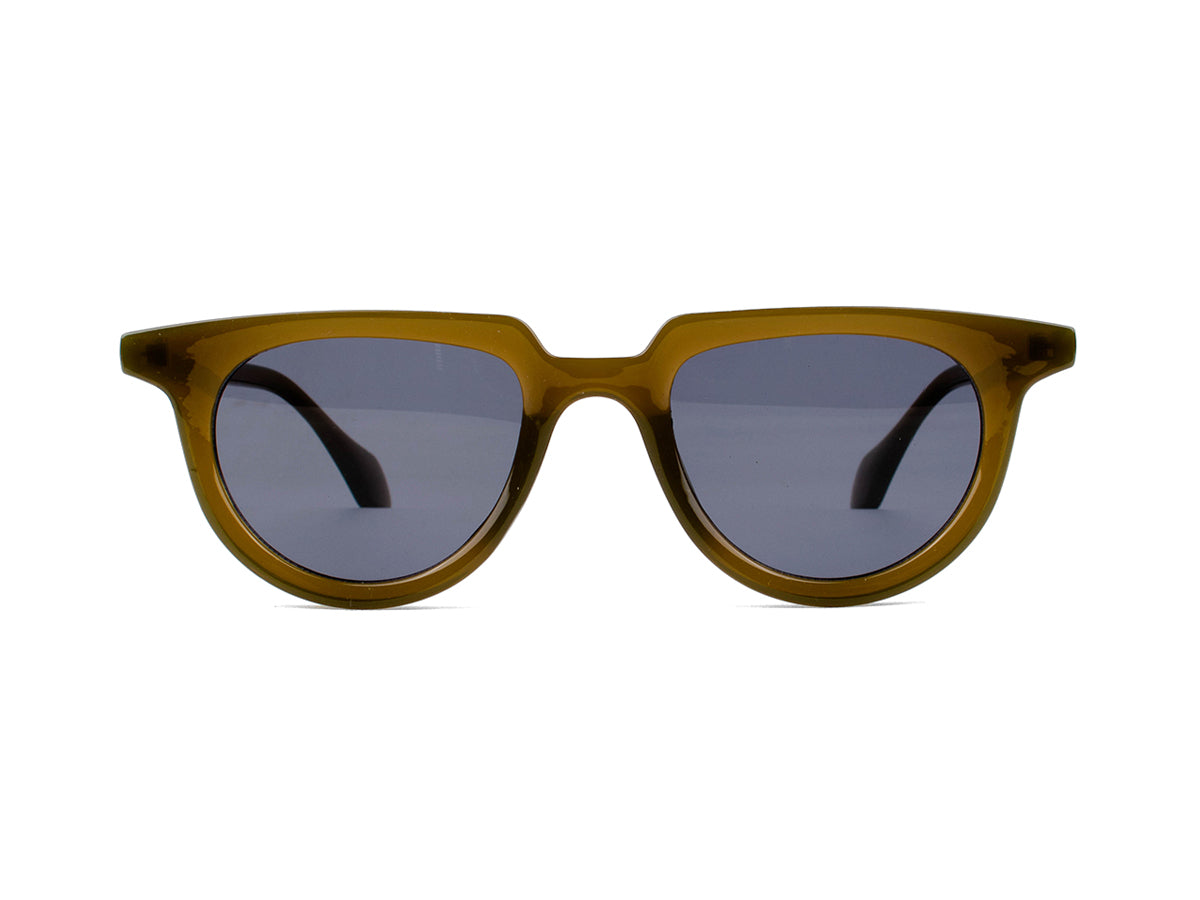 Sunglasses SG3681
