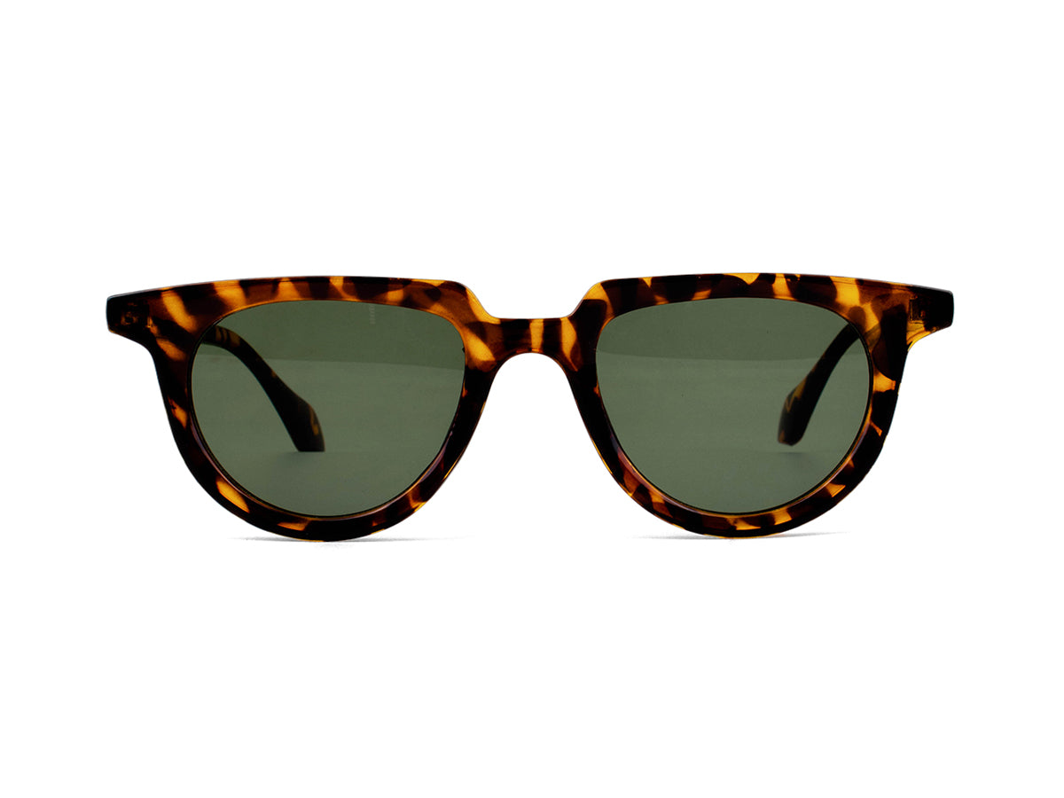 Sunglasses SG3681