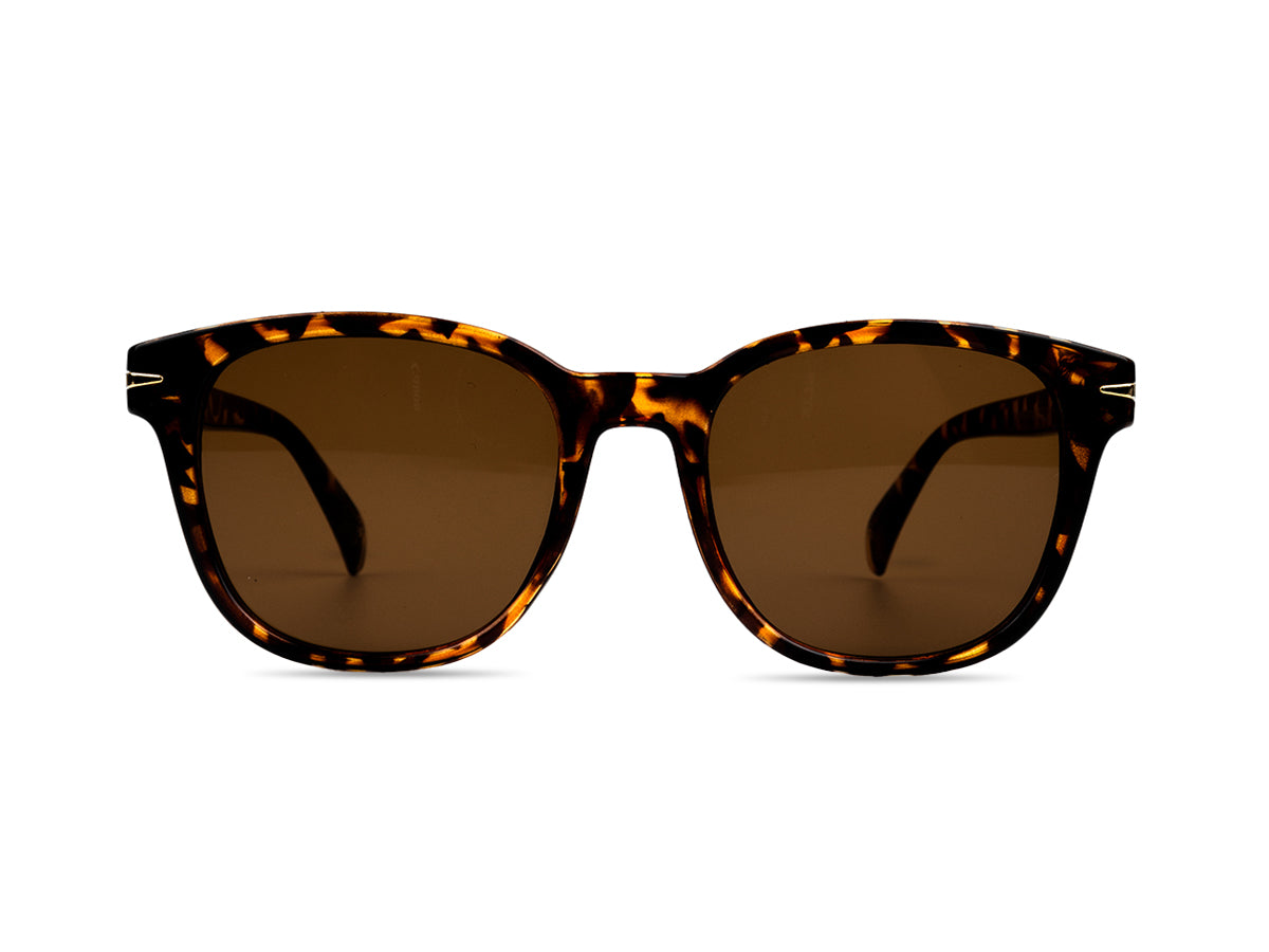 Sunglasses SG3689