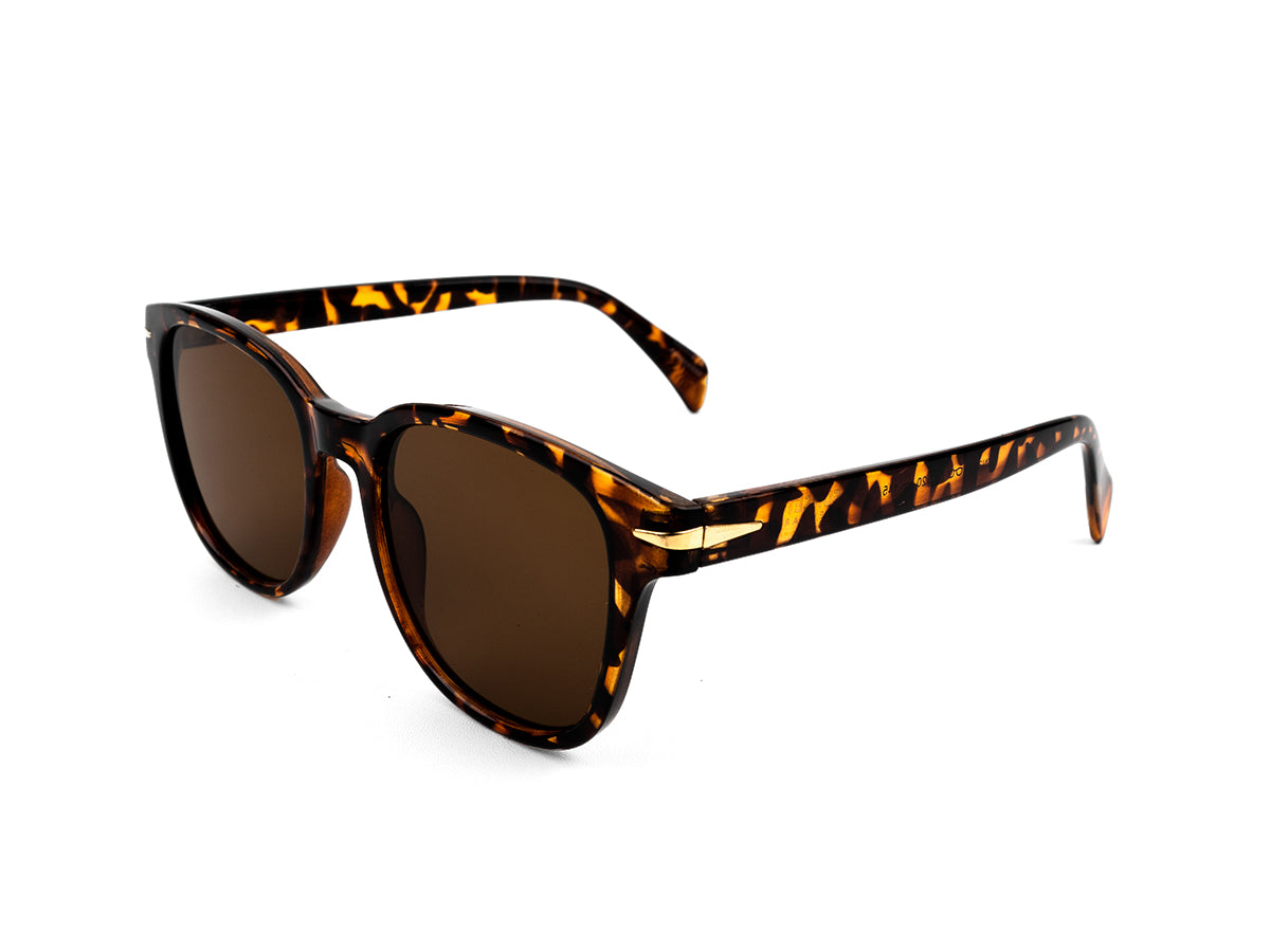 Sunglasses SG3689