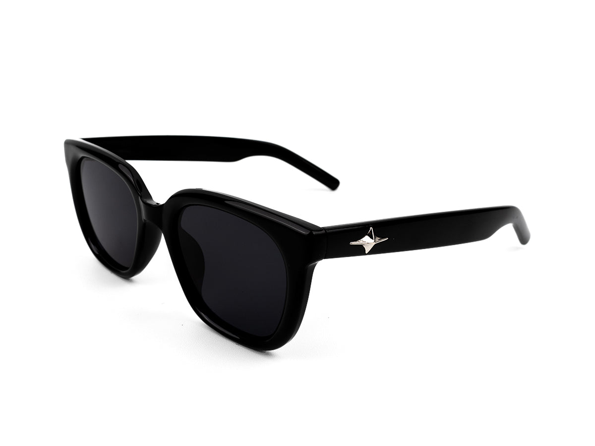 Sunglasses SG3713