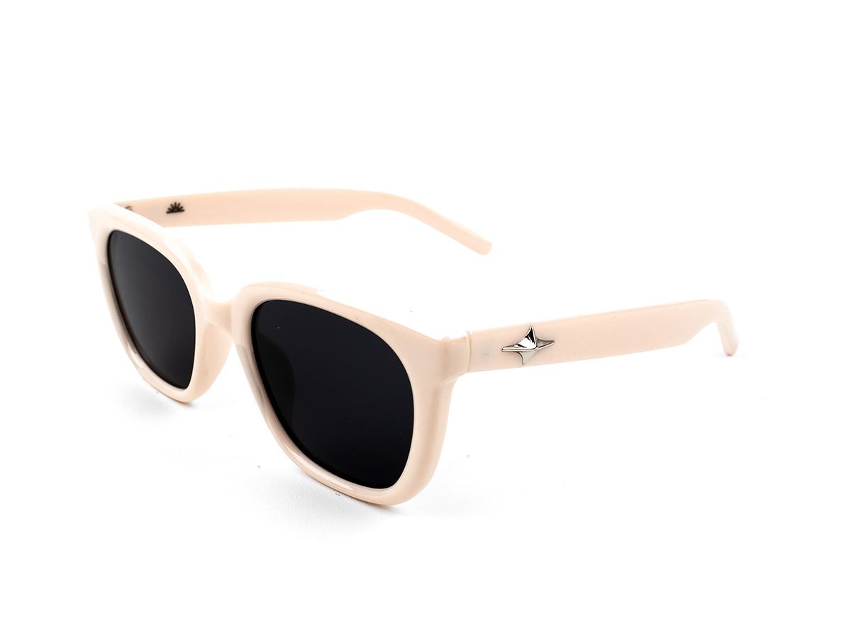 Sunglasses SG3713