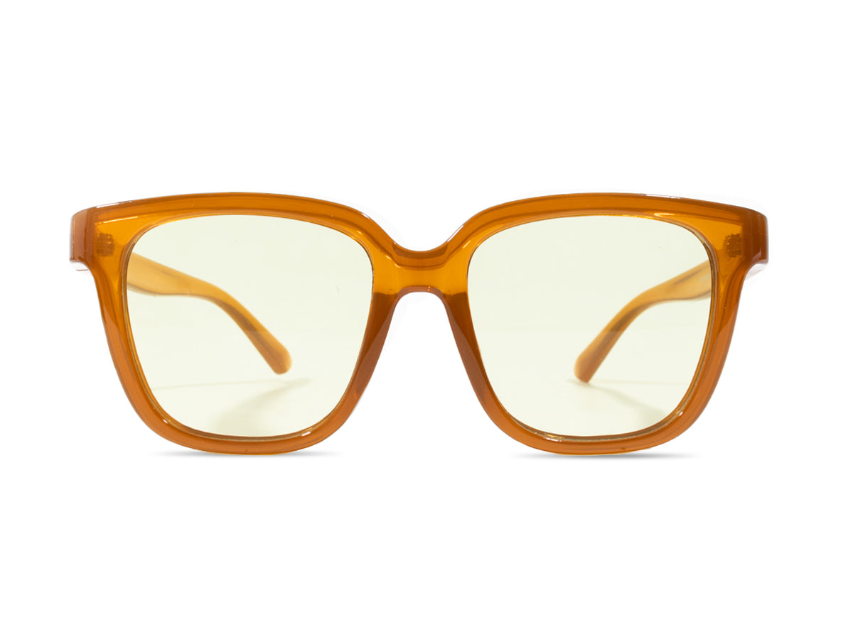 Sunglasses SG3799