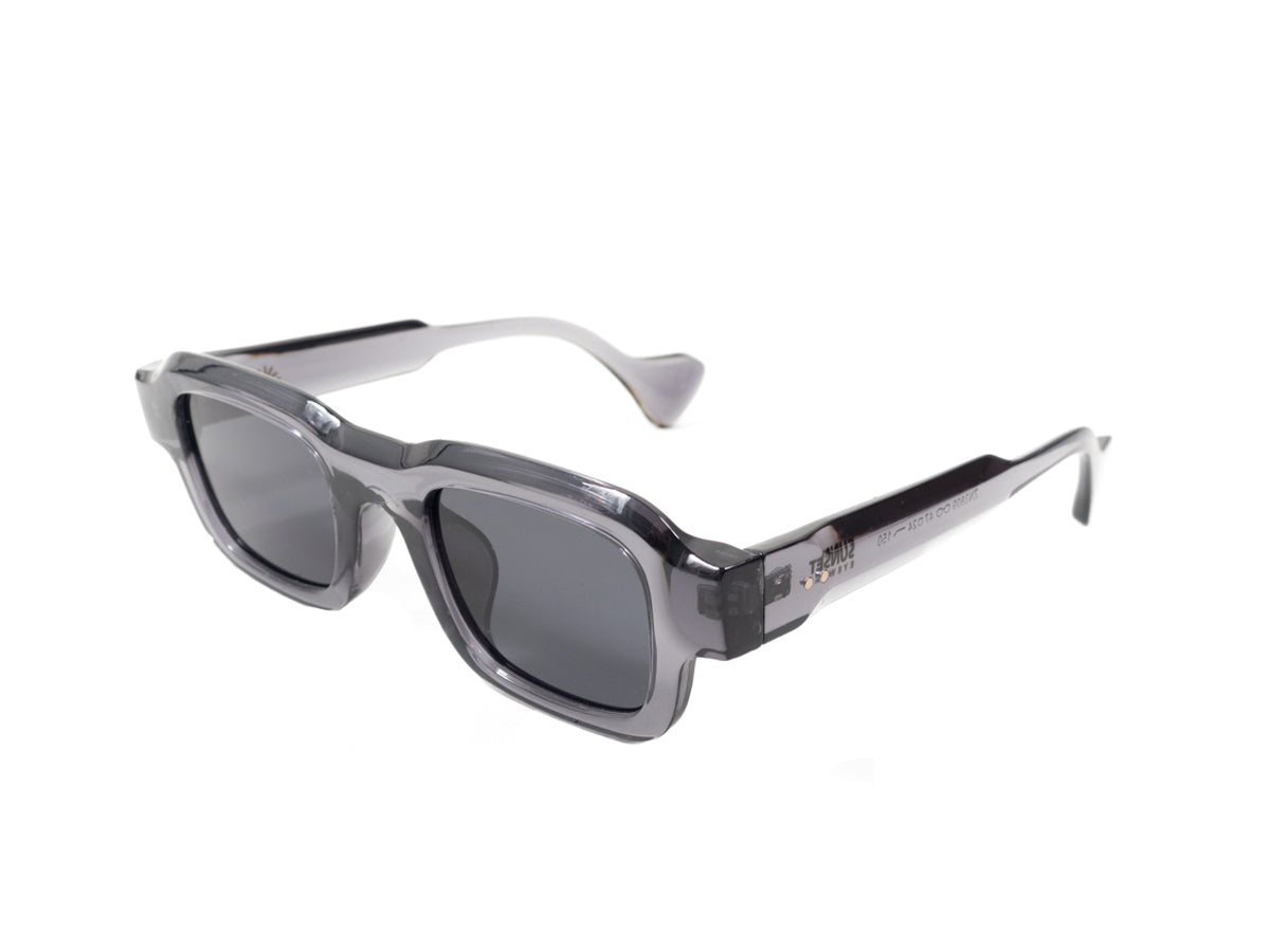 Sunglasses SG3809