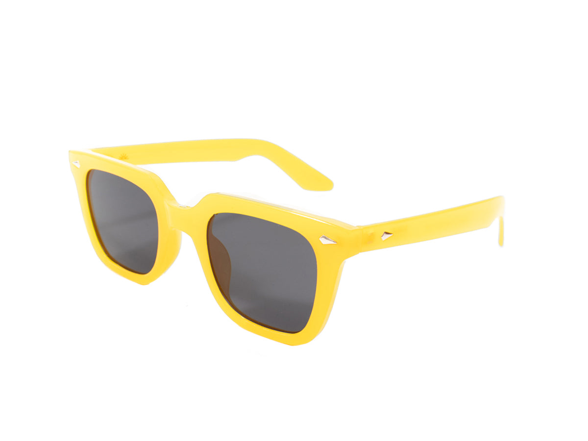 Sunglasses SG3812