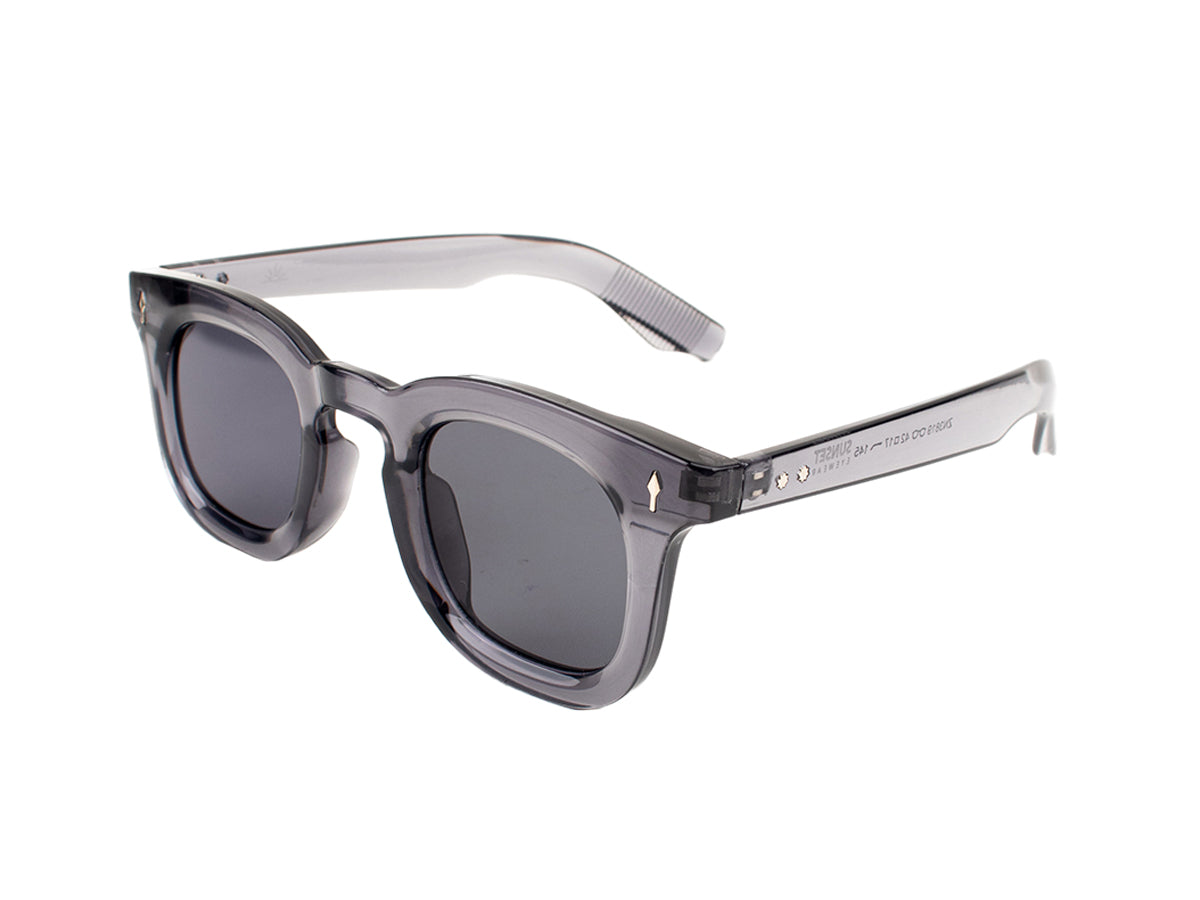 Sunglasses SG3819