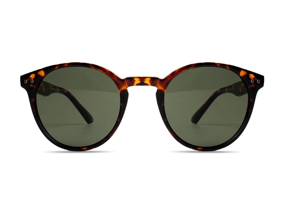 Sunglasses SG3821