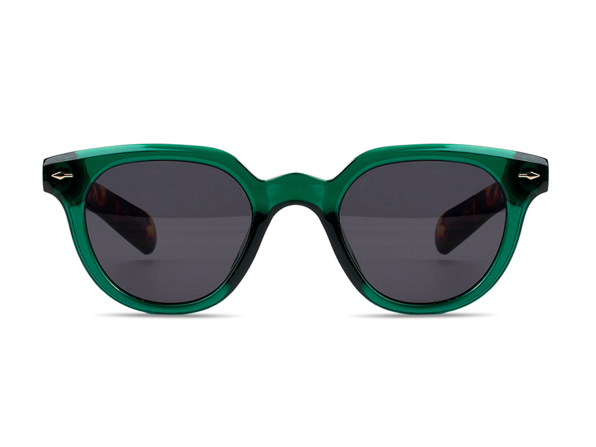 Sunglasses SG3832