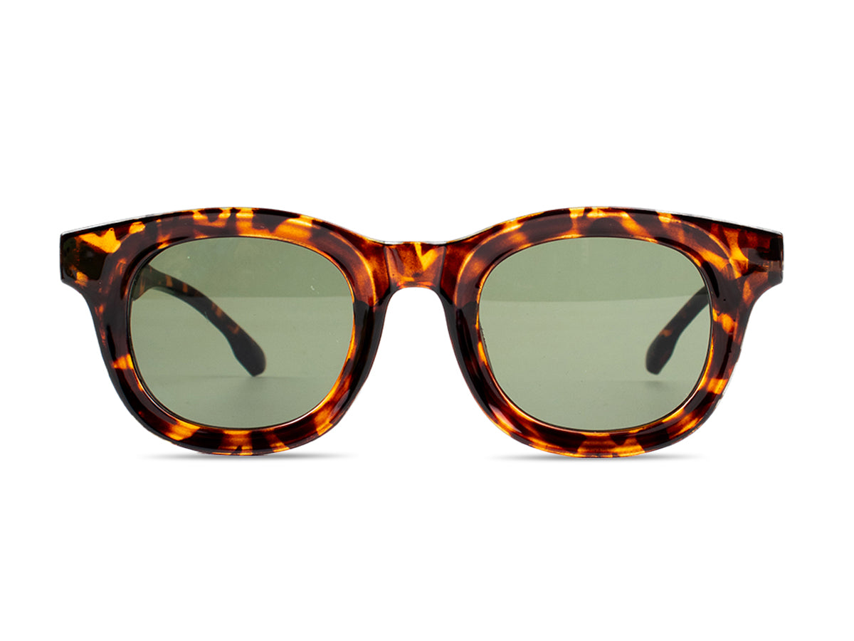 Sunglasses SG3841