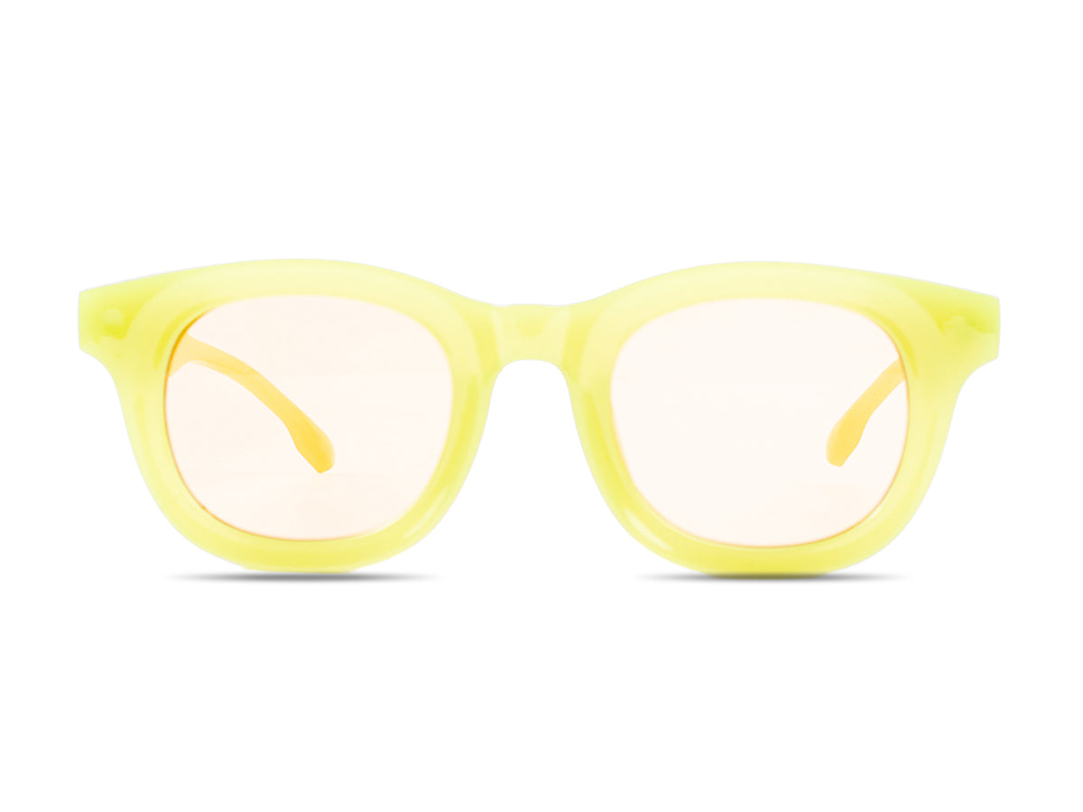 Sunglasses SG3841