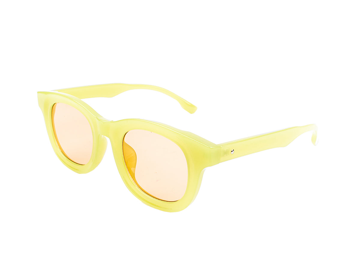 Sunglasses SG3841