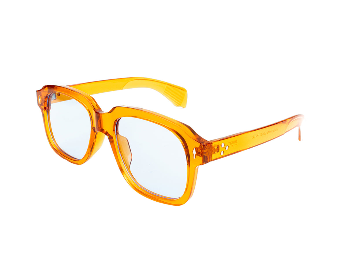 Sunglasses SG3884