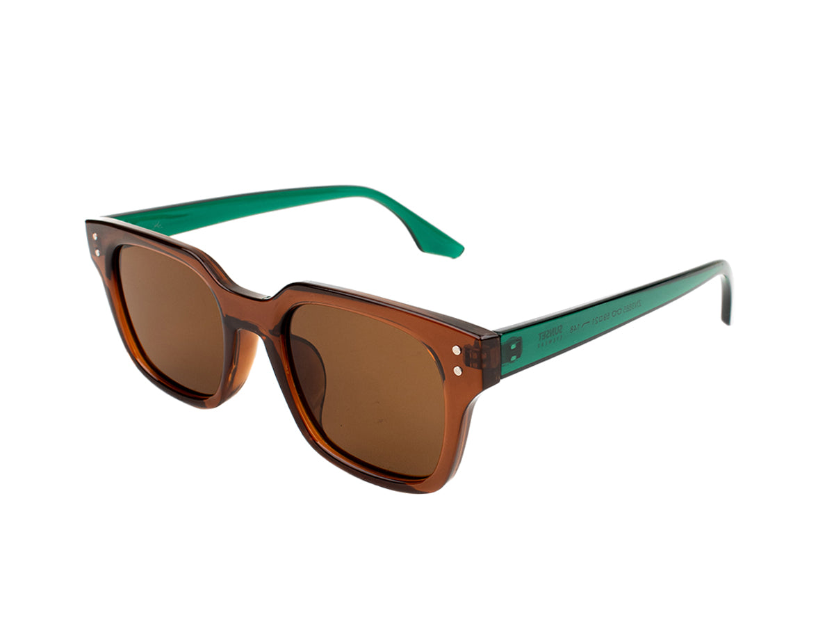 Sunglasses SG3885