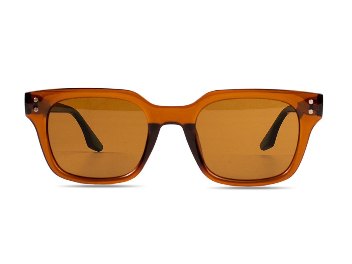 Sunglasses SG3885