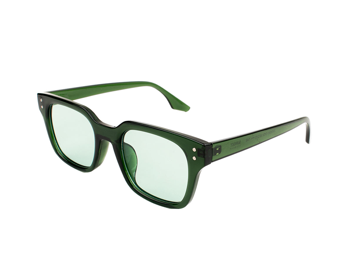 Sunglasses SG3885