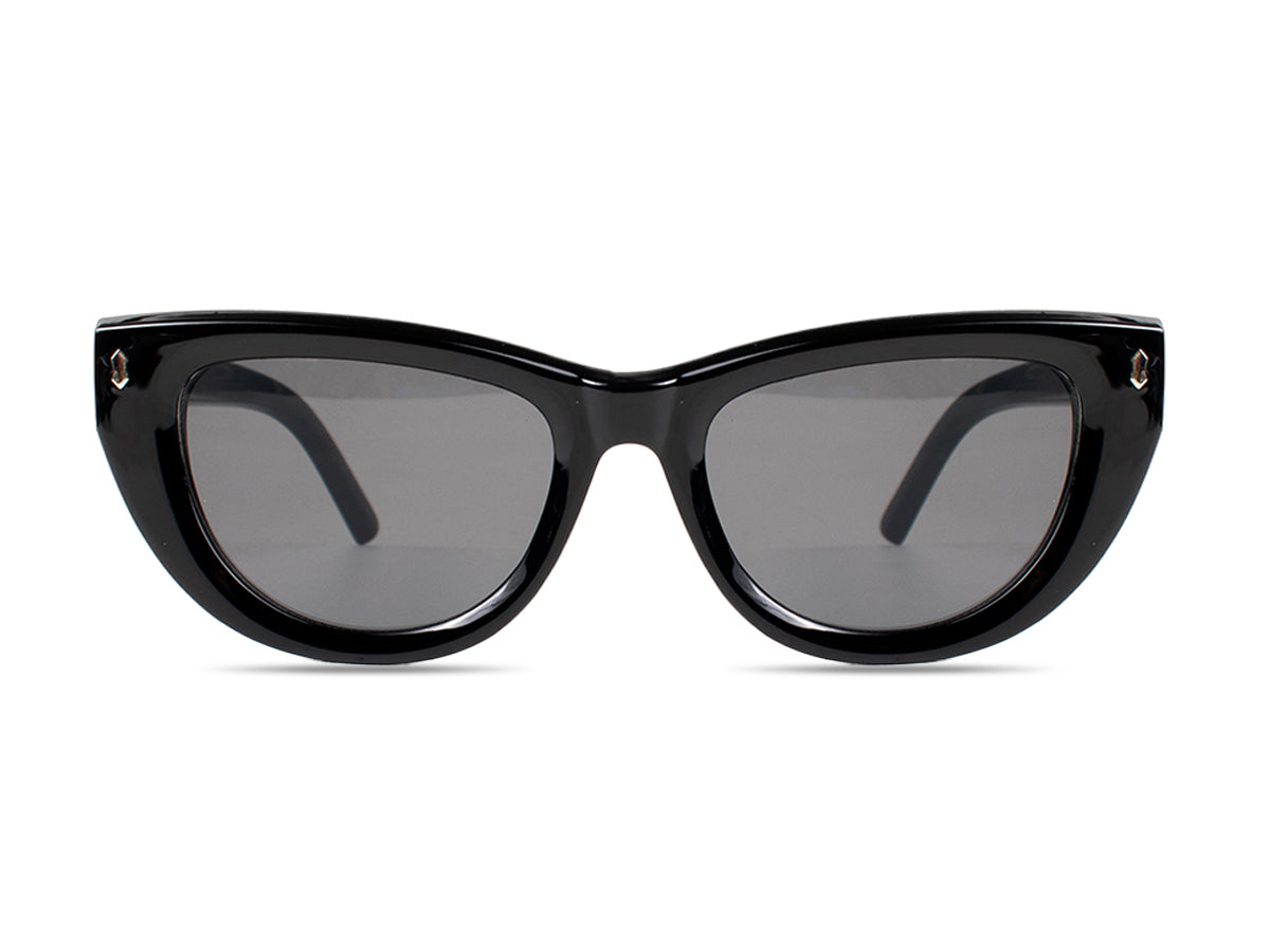 Sunglasses SG3889