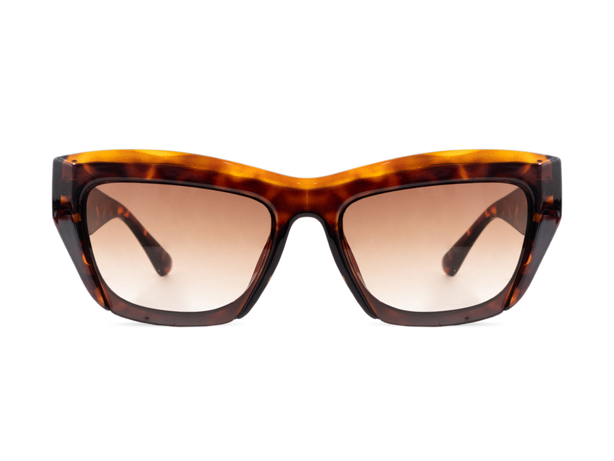 Sunglasses SG6143
