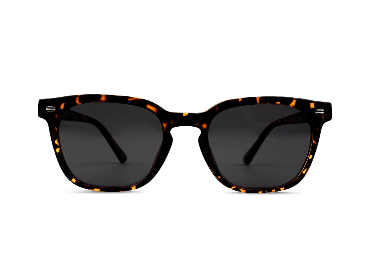 Sunglasses SGA8012