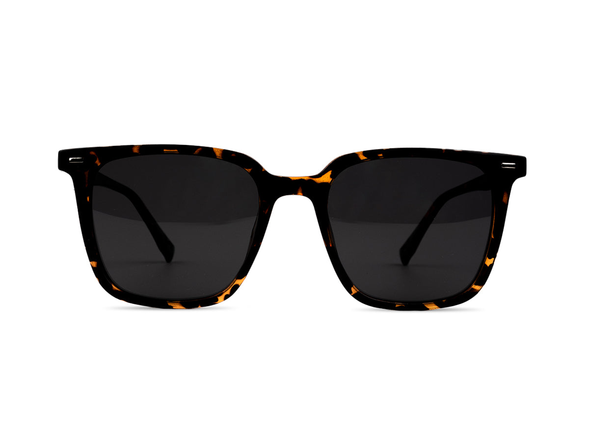 Sunglasses SGA8041