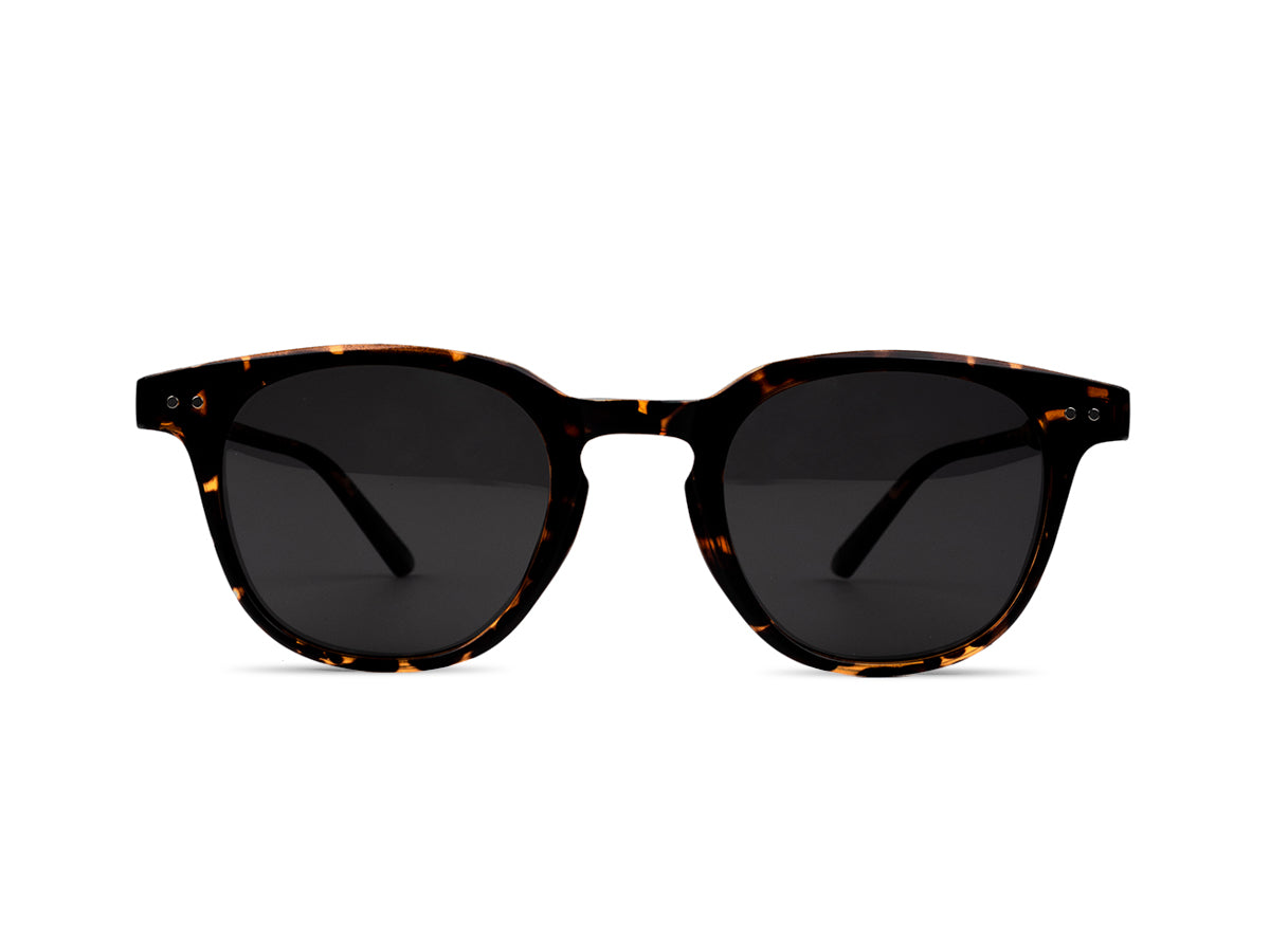 Sunglasses SGA8042