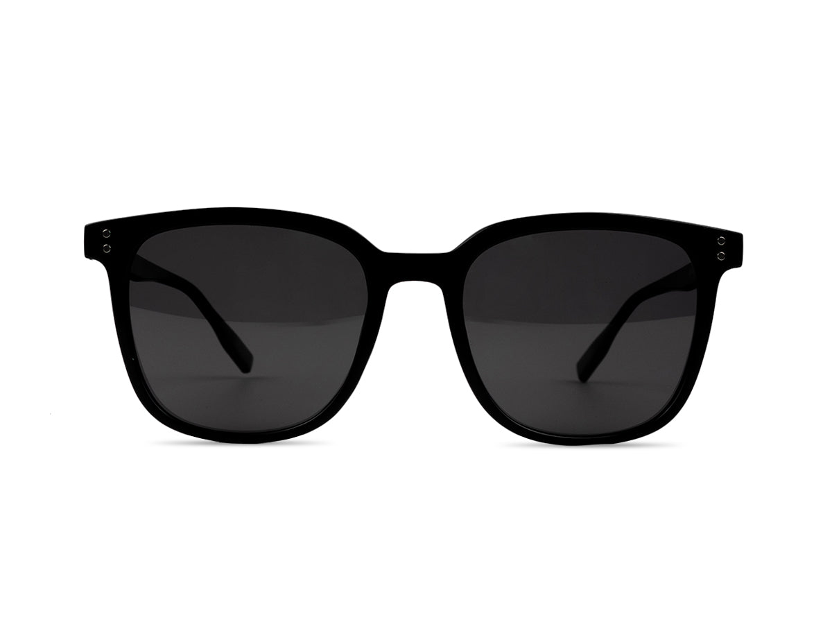 Sunglasses SGA8043