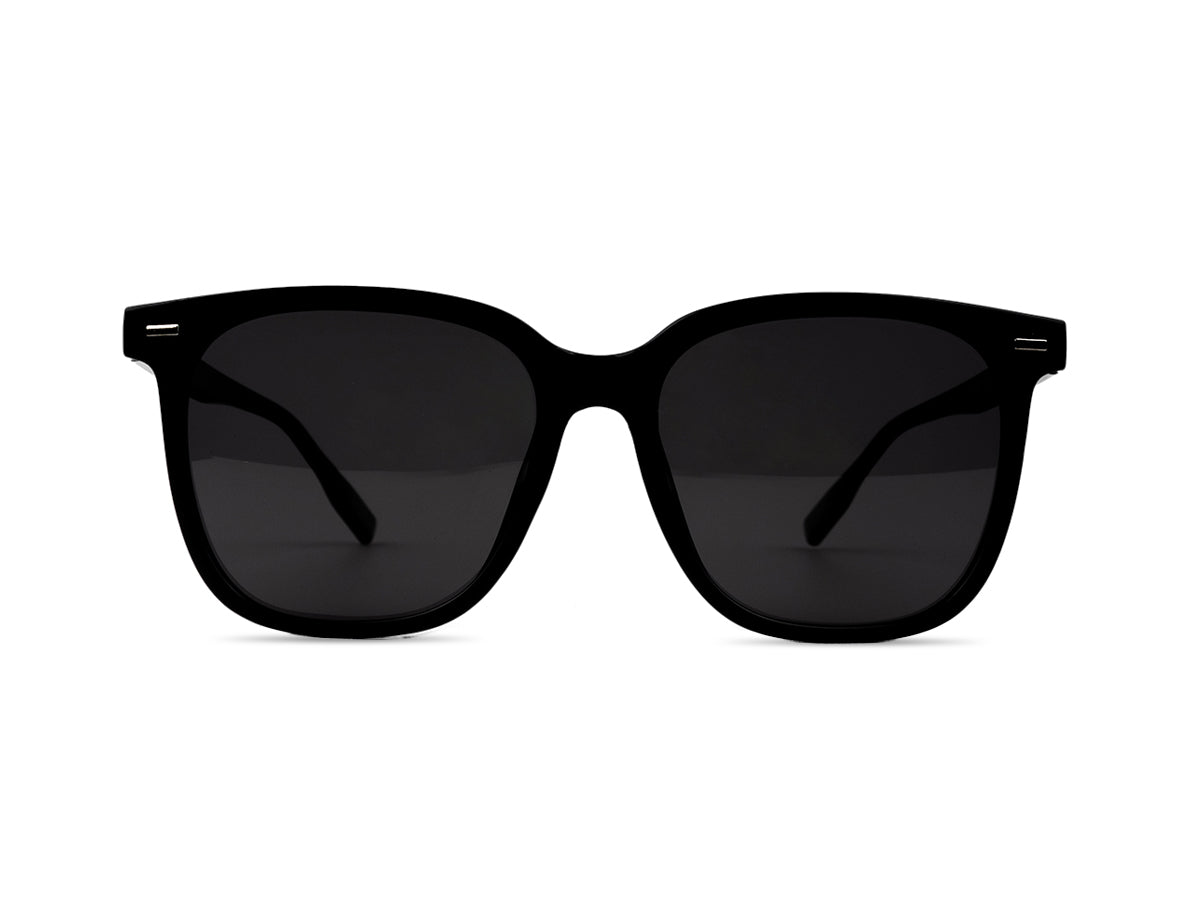 Sunglasses SGA8045