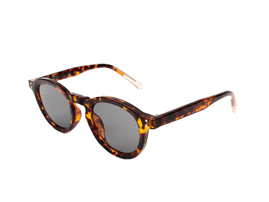 Sunglasses SGPCCP6260