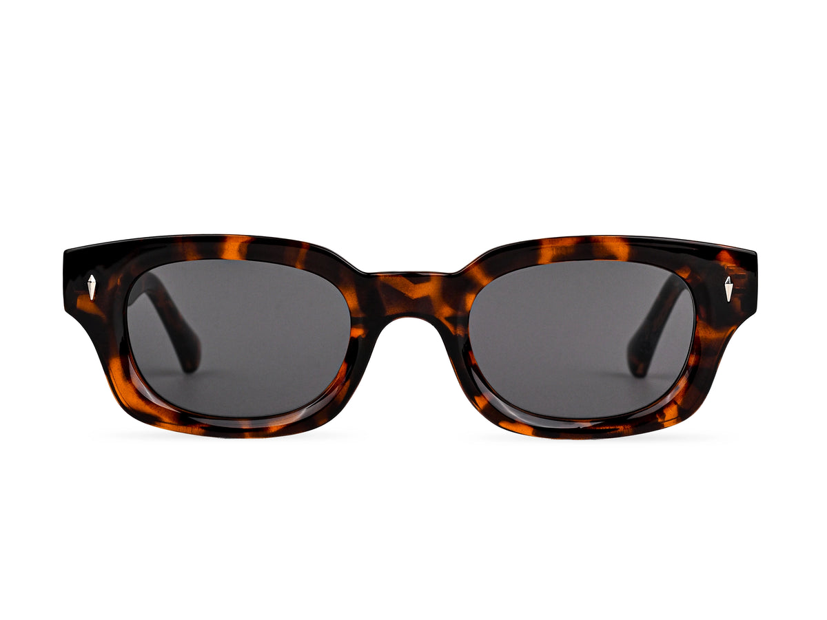 Sunglasses SGPCCPSZ8811