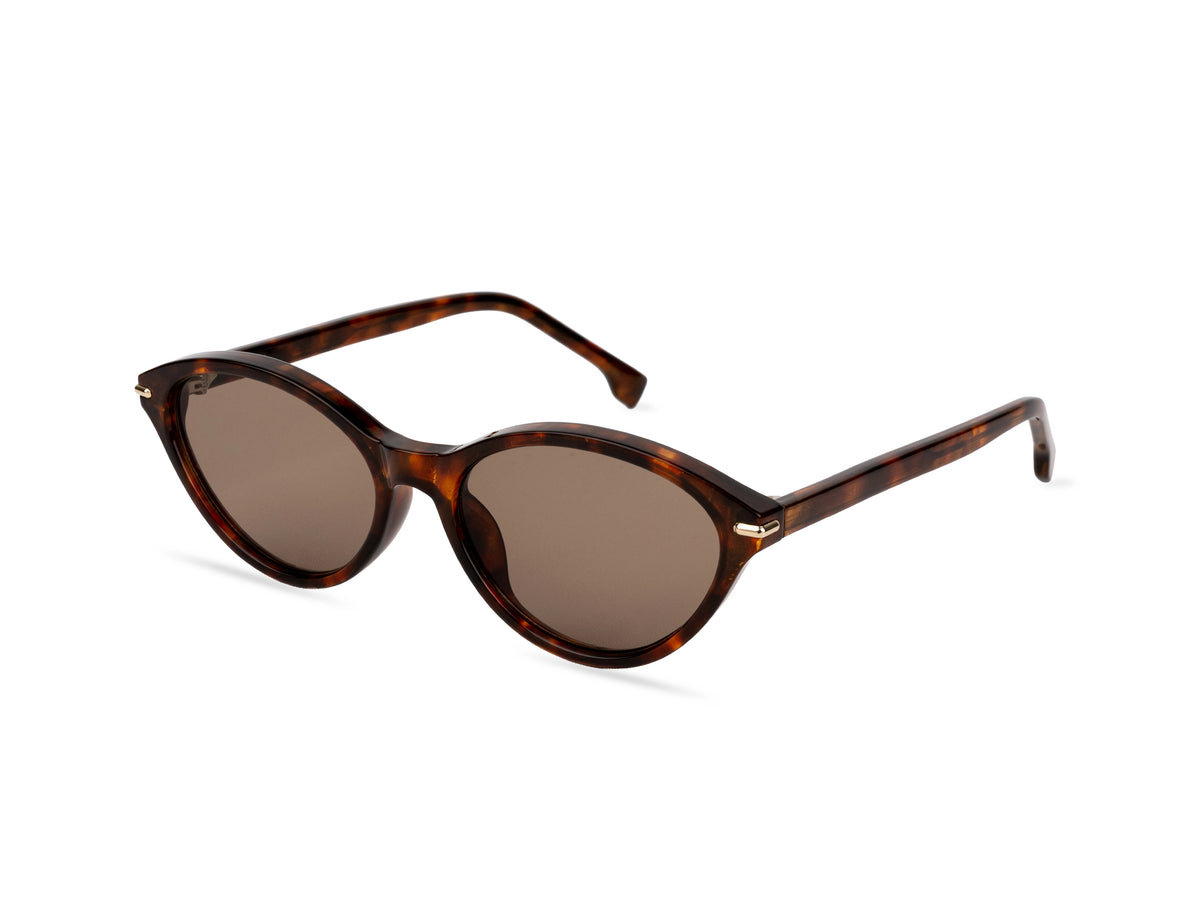 Sunglasses SGPCCPSZ8829