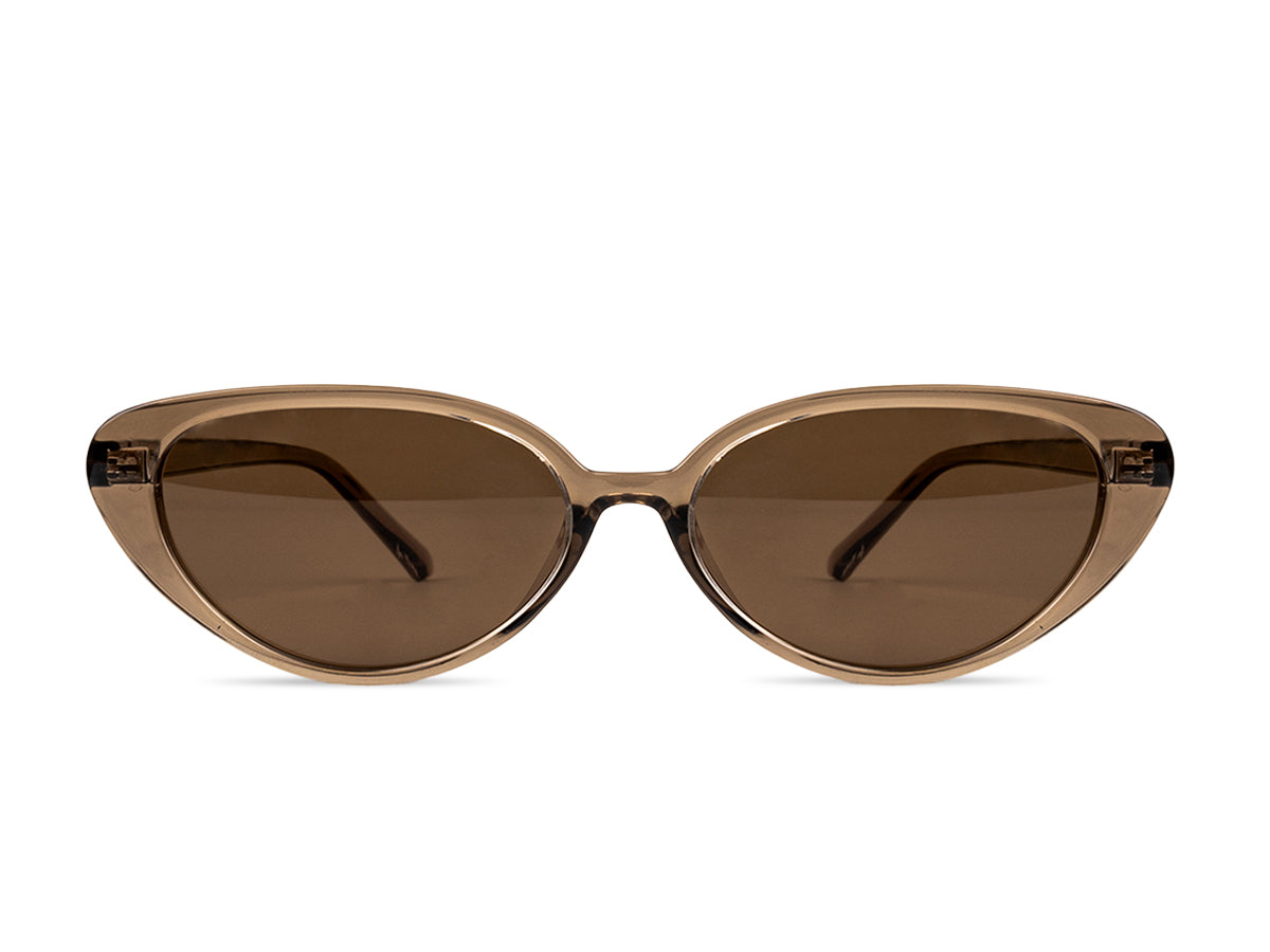 Sunglasses SGTR20384