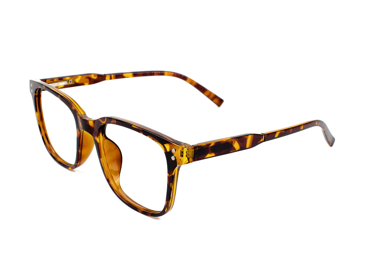 Optical TR906028