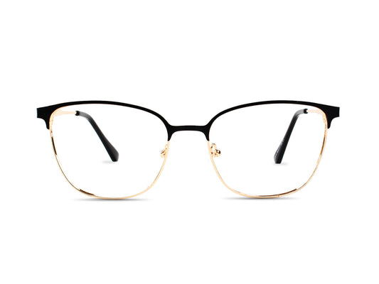 Optical MAS013