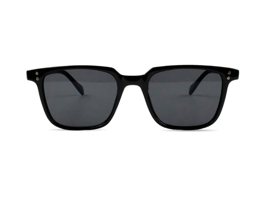 Sunglasses SG3246