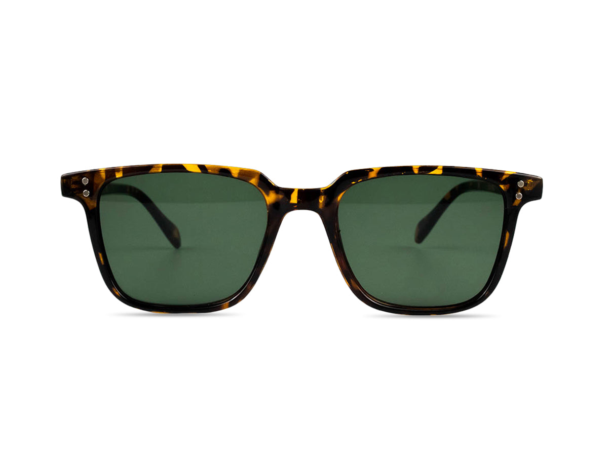 Sunglasses SG3246