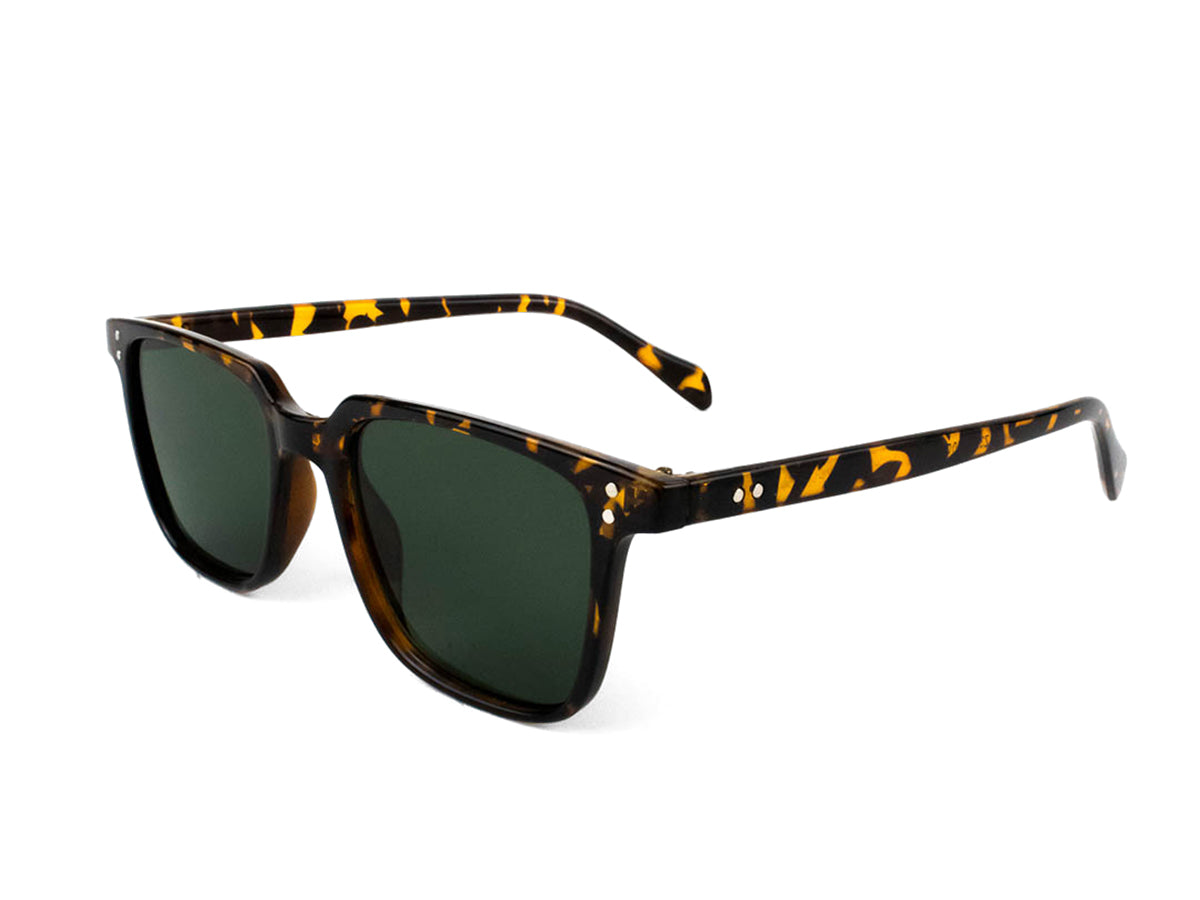 Sunglasses SG3246