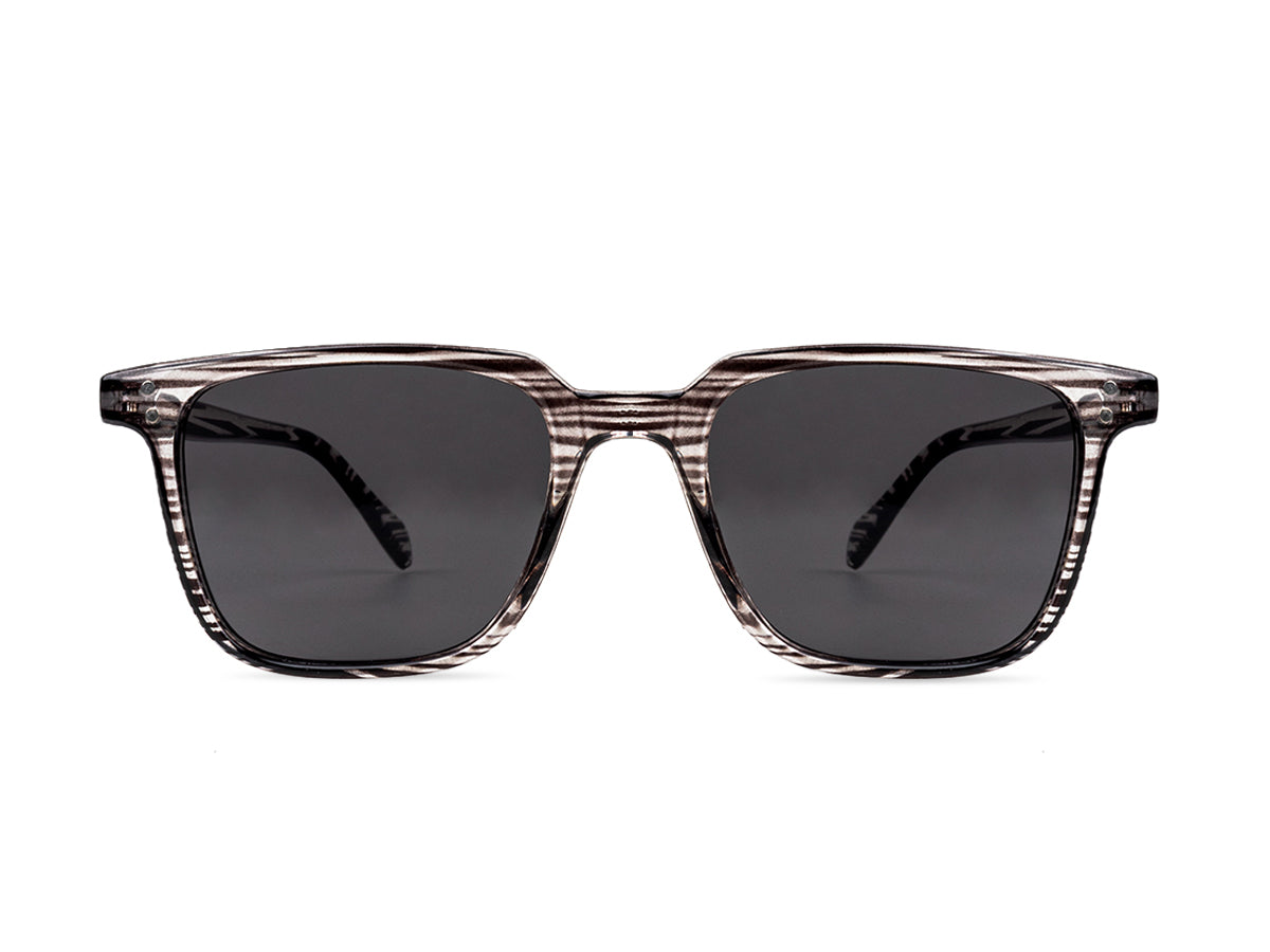 Sunglasses SG3246