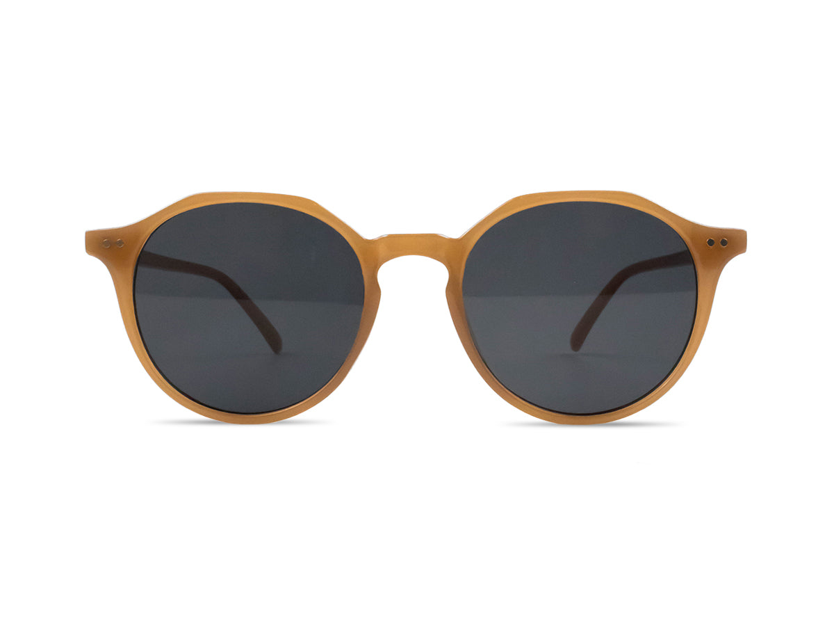 Sunglasses SG3366
