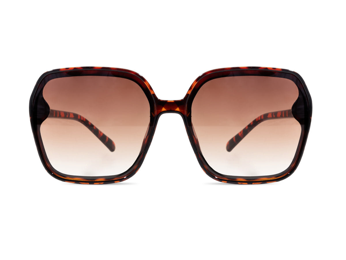 Sunglasses SG3383