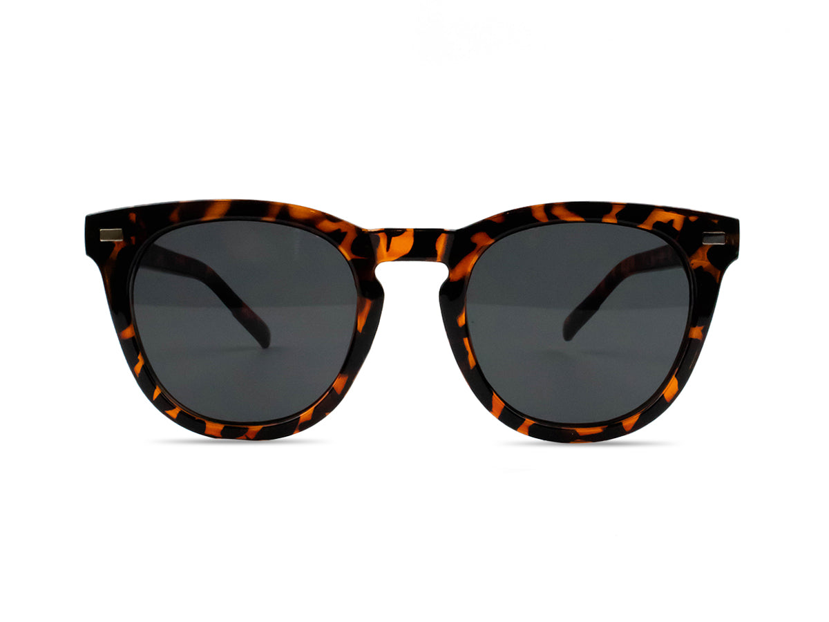 Sunglasses SG3504