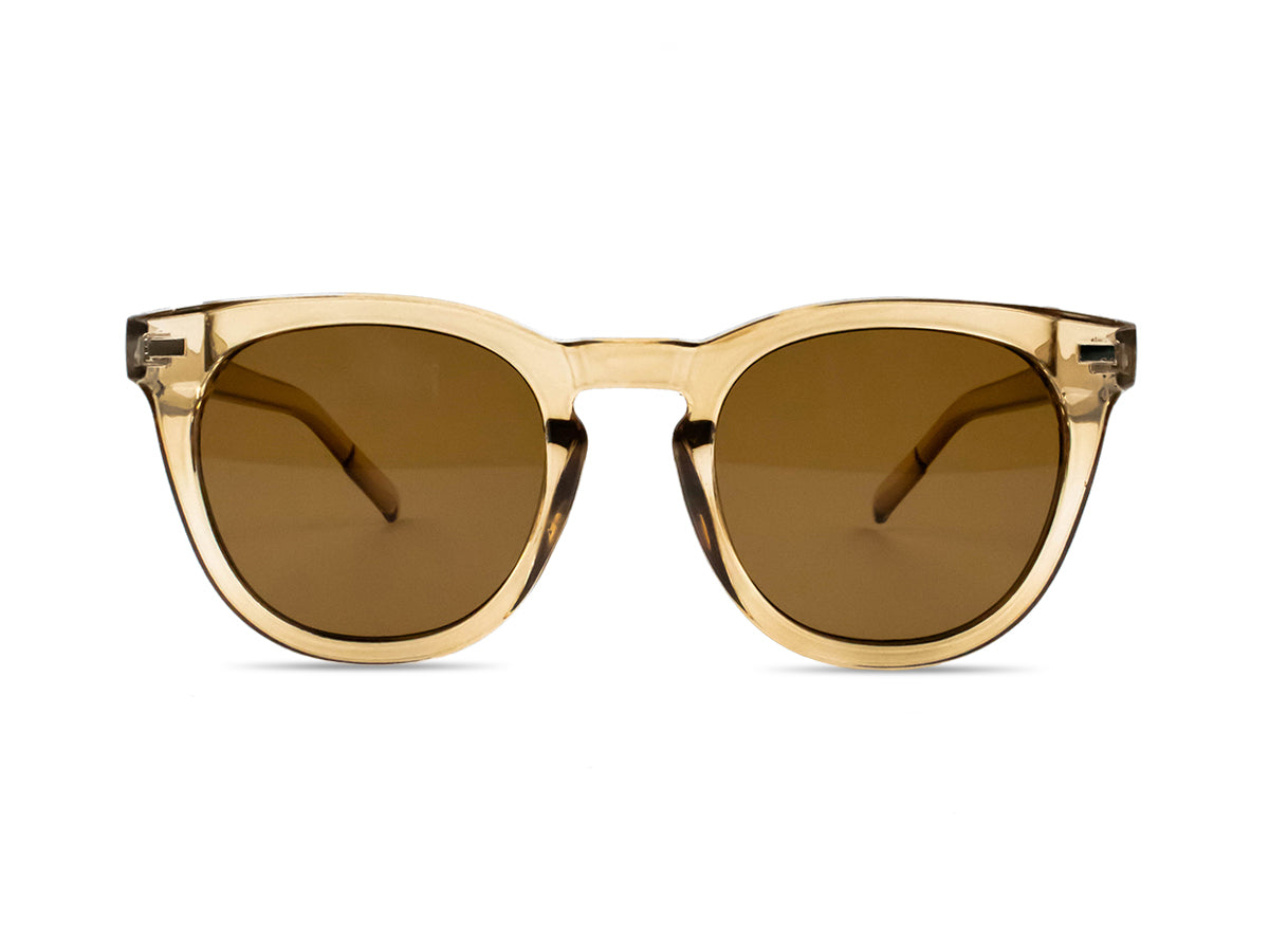 Sunglasses SG3504