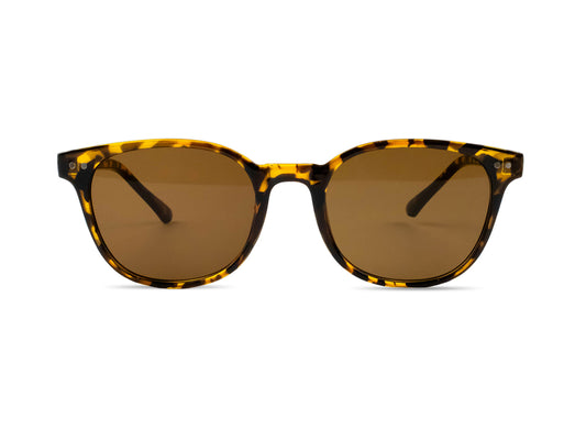 Sunglasses SG3519