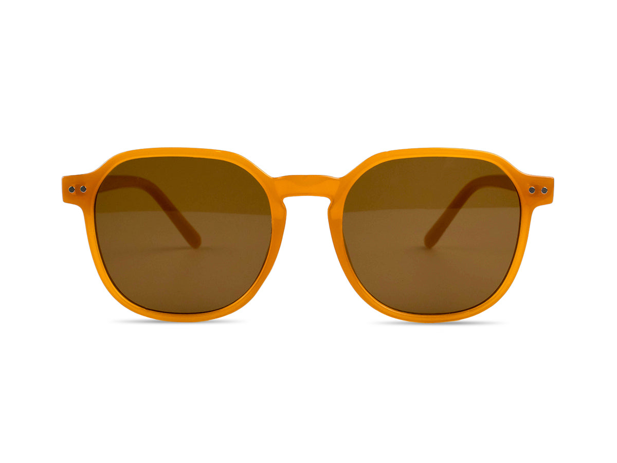 Sunglasses SG3528
