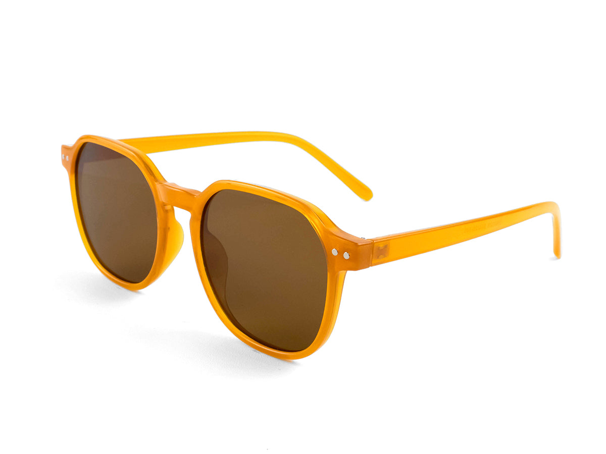 Sunglasses SG3528